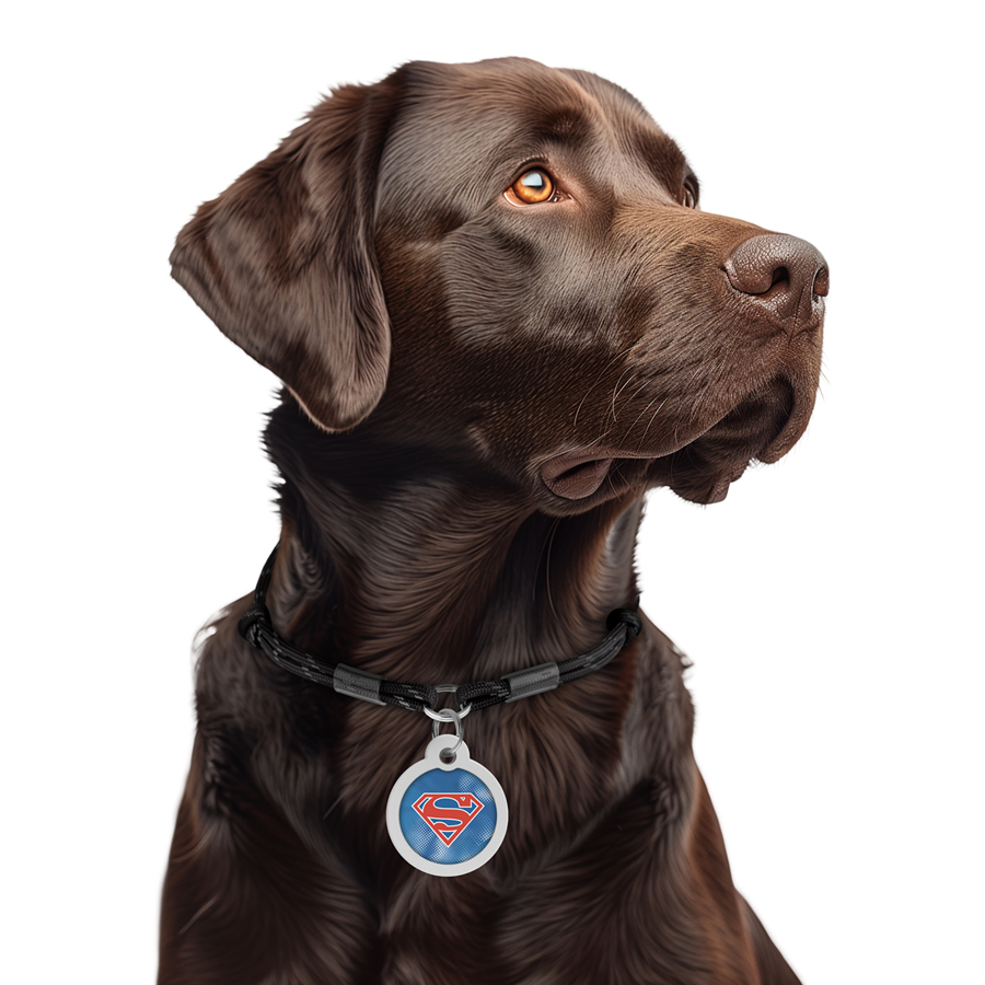 Адресник для собак і котів металевий WAUDOG Smart ID з QR паспортом, малюнок 