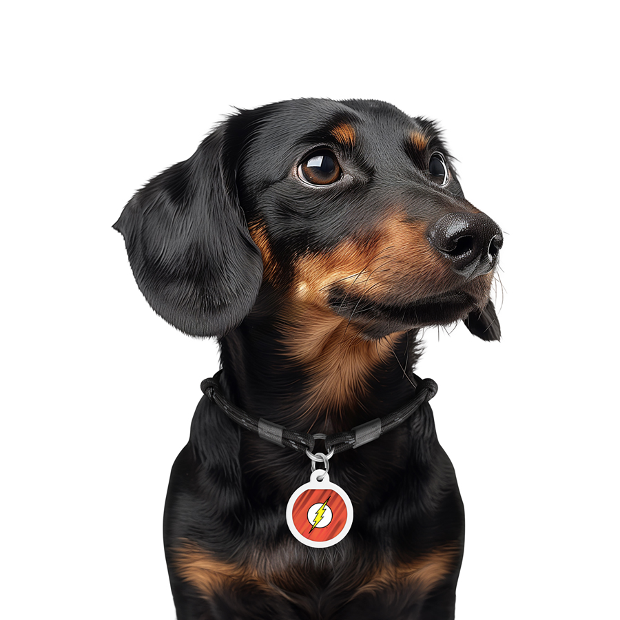 Адресник для собак і котів металевий WAUDOG Smart ID з QR паспортом, малюнок 