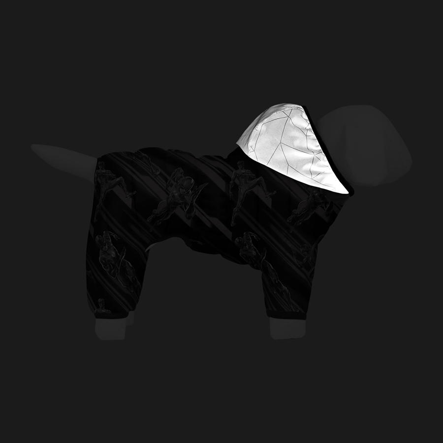 Комбінезон для собак WAUDOG Clothes малюнок 