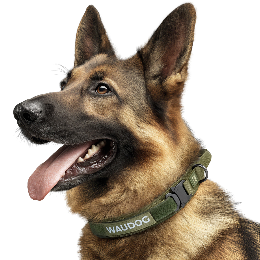Нашийник з ручкою тактичний для собак WAUDOG PRO, металевий фастекс, XL, Ш 50 мм, Дл 53-62, хакі