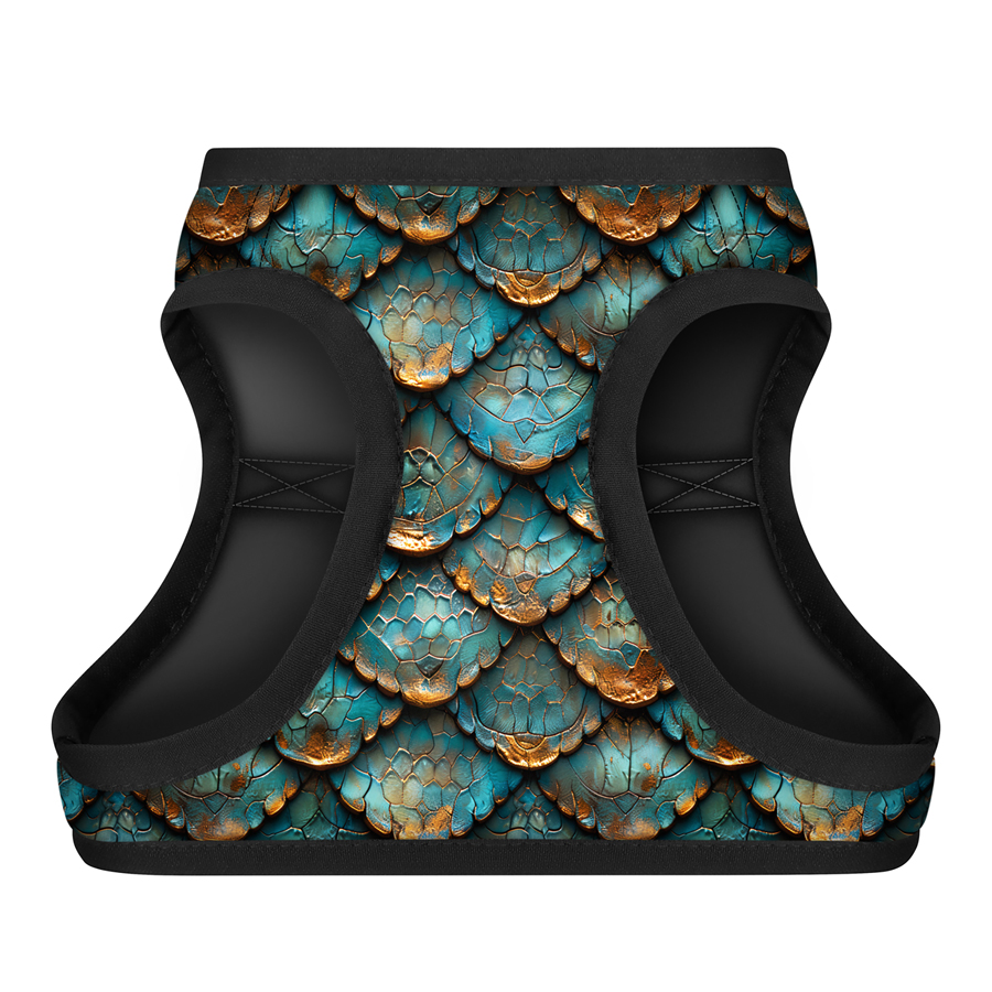 Шлея для собак м'яка WAUDOG Clothes з QR адресником, малюнок 