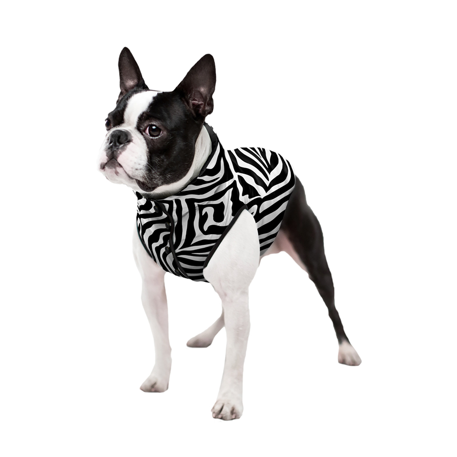 Курточка для собак WAUDOG Clothes, малюнок 