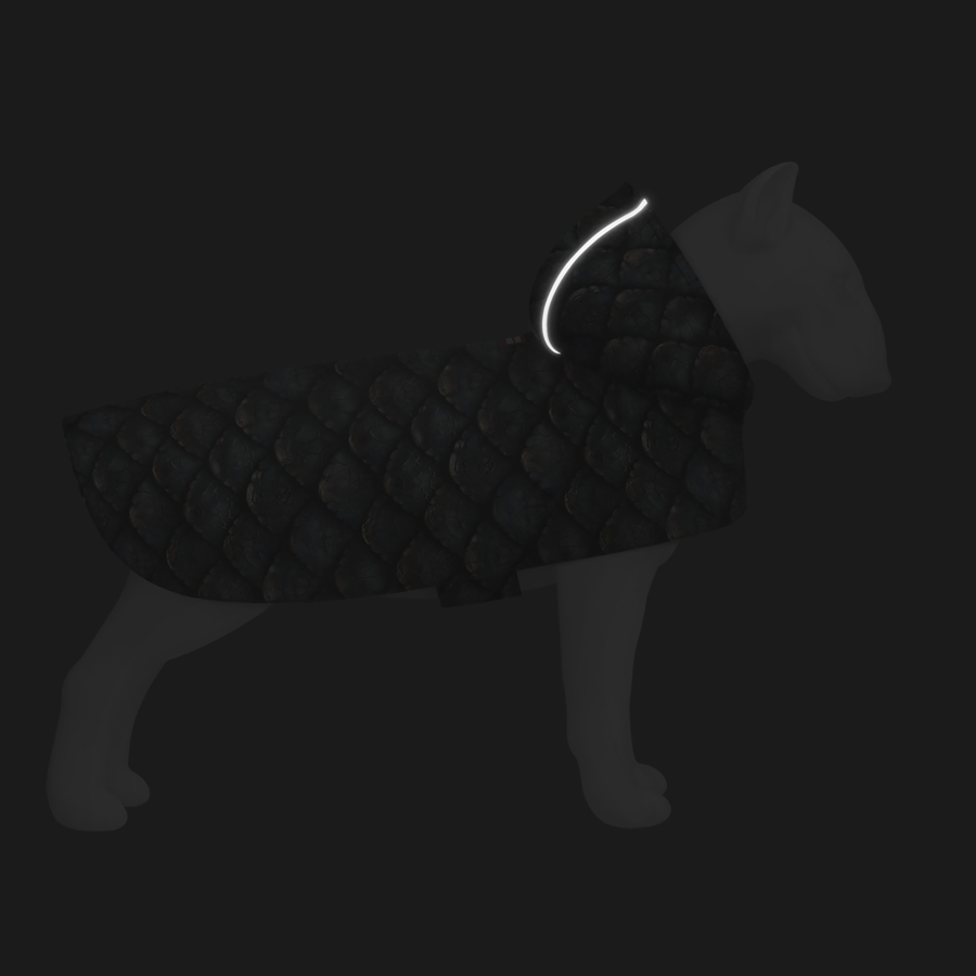 Дощовик-накидка з капюшоном для собак WAUDOG Clothes, малюнок 