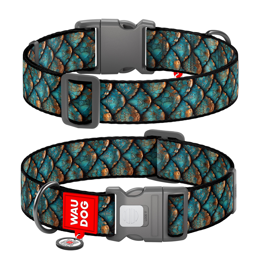 Нашийник для собак нейлоновий WAUDOG Nylon з QR адресником, малюнок 