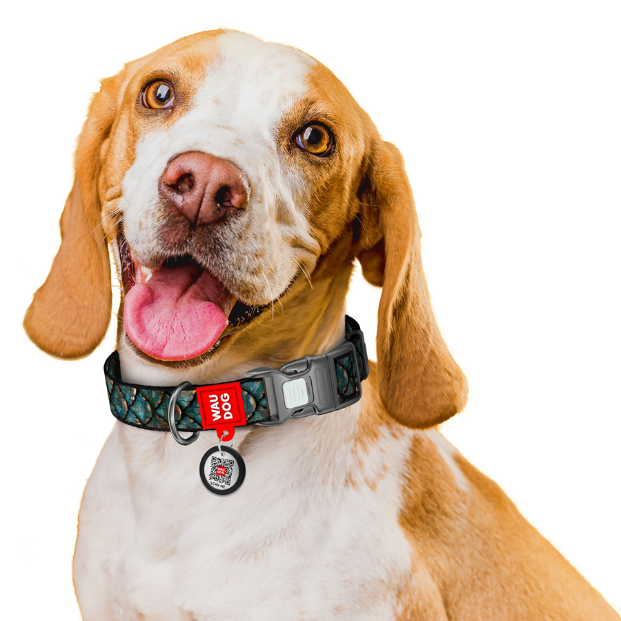 Нашийник для собак нейлоновий WAUDOG Nylon з QR адресником, малюнок 