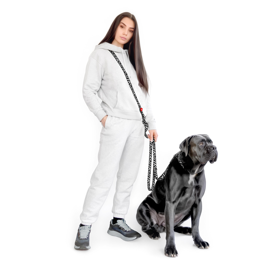 Повідець-перестібка для собак WAUDOG Nylon, малюнок 