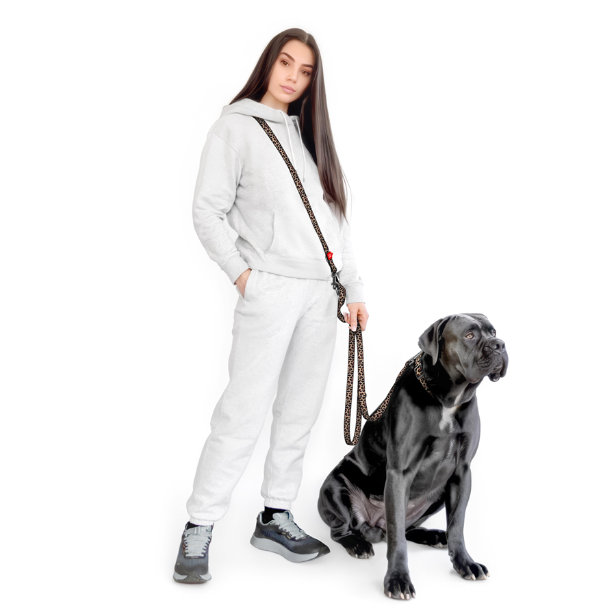 Повідець-перестібка для собак WAUDOG Nylon, малюнок 