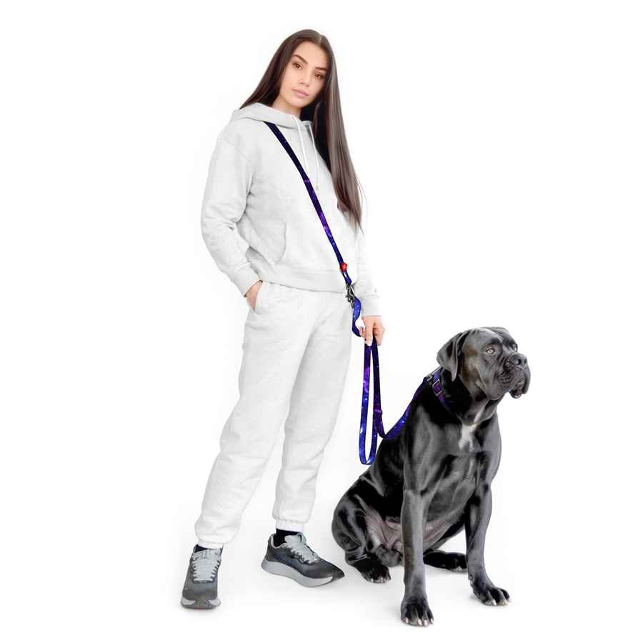 Повідець-перестібка для собак WAUDOG Nylon, малюнок 