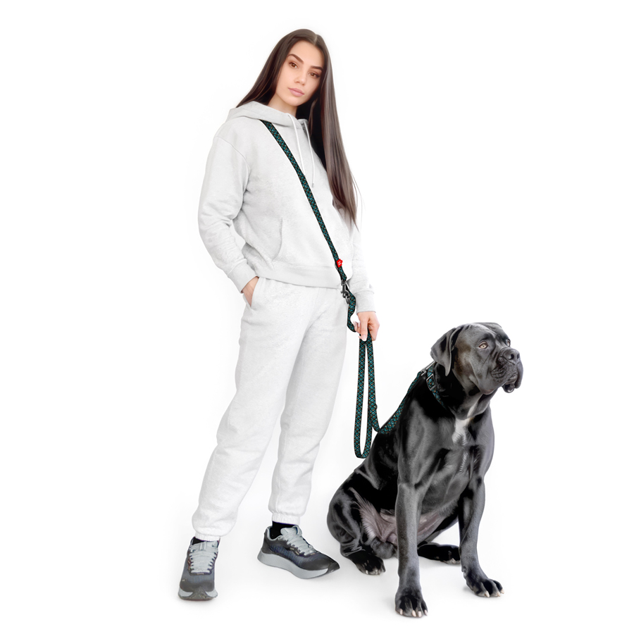 Повідець-перестібка для собак WAUDOG Nylon, малюнок 