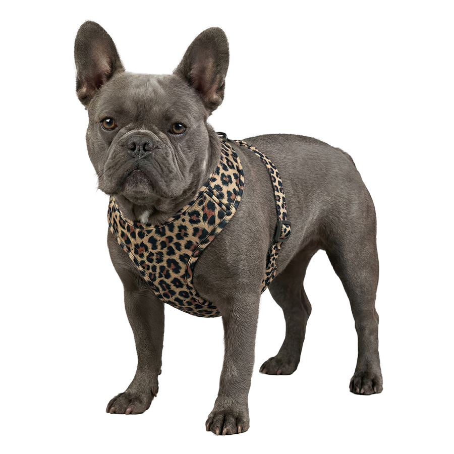 Шлея для собак дихаюча WAUDOG Mesh с QR адресником, малюнок «Леопард», S, A 30 см, В 35-48 см