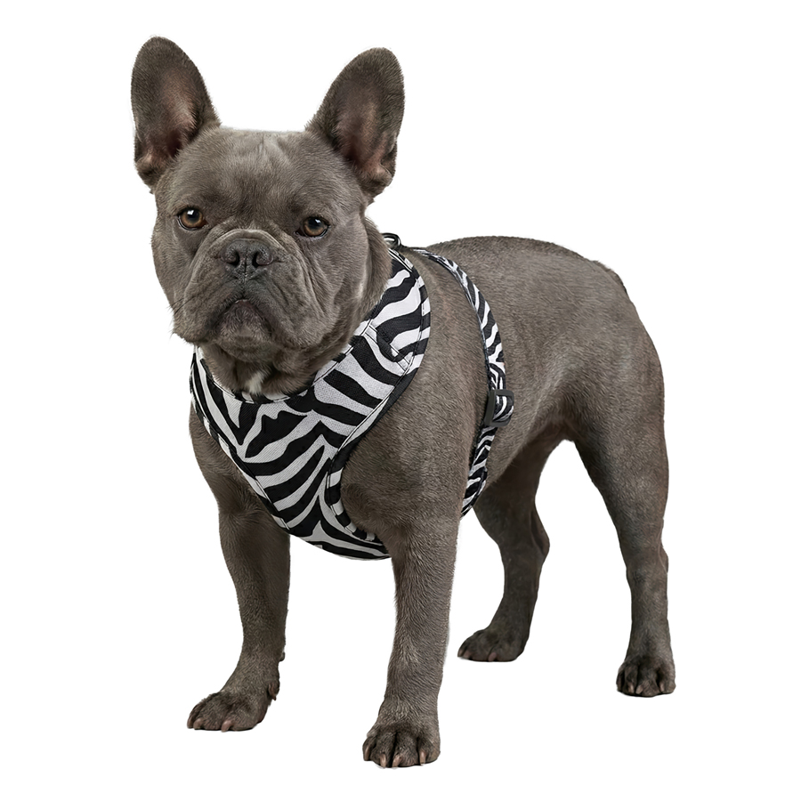 Шлея для собак дихаюча WAUDOG Mesh с QR адресником, Малюнок «Зебра», S, A 30 см, В 35-48 см