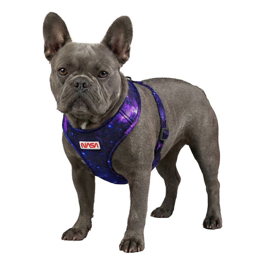 Шлея для собак дихаюча WAUDOG Mesh с QR адресником, малюнок «NASA21», М, A 35 см, В 42-60 см