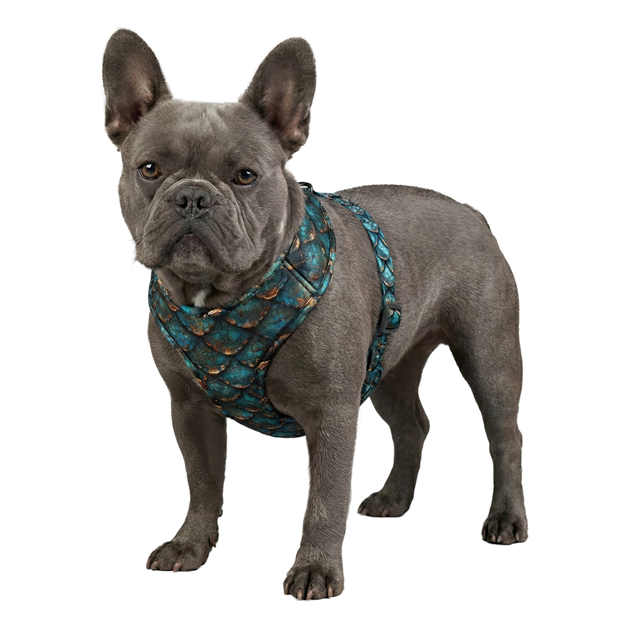 Шлея для собак дихаюча WAUDOG Mesh с QR адресником, малюнок «Луска», М, A 35 см, В 42-60 см