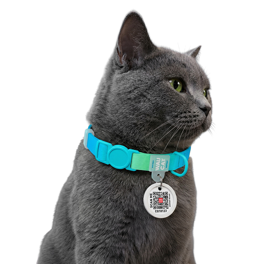 Нашийник для котів нейлоновий WAUCAT Nylon Recycled з QR адресником, градієнт, безпечна пряжка, XS, Ш 10 мм, Дов 20-30 см, блакитний